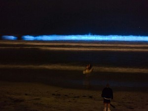 Morador flagra ‘onda azul fluorescente’ em praia