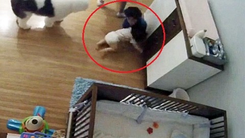 Menino salva irmão de 11 meses de queda