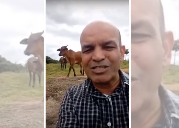 Pastor de Cariacica faz “sucesso” na internet ao ser atacado por boi durante oração