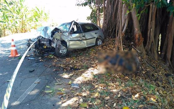 Motorista morre após bater em árvore