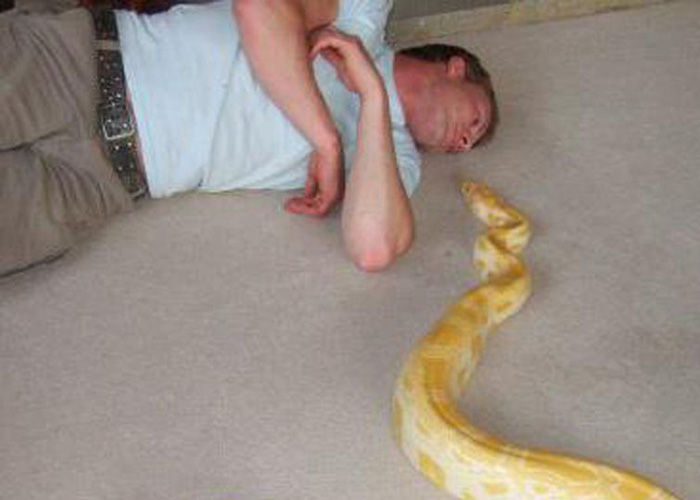 Morto por asfixia, criador de cobras era obcecado pela “vida selvagem”