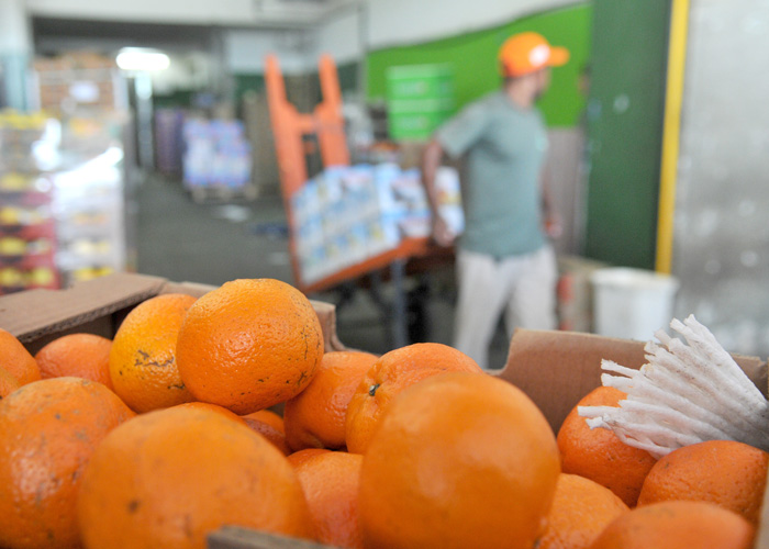 Seminário no Estado discute ações para reduzir desperdício de alimentos