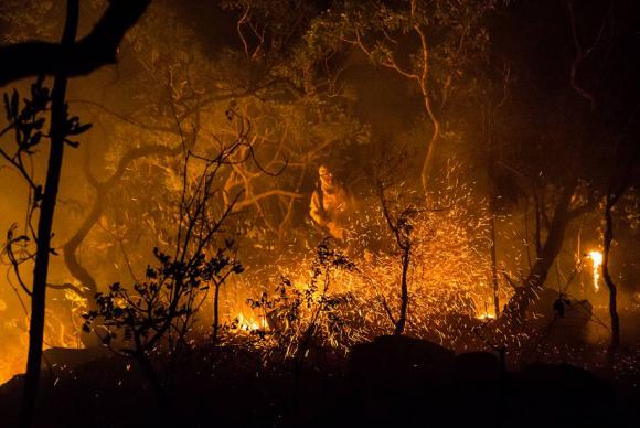 Incêndio fecha Parque Nacional da Chapada dos Veadeiros