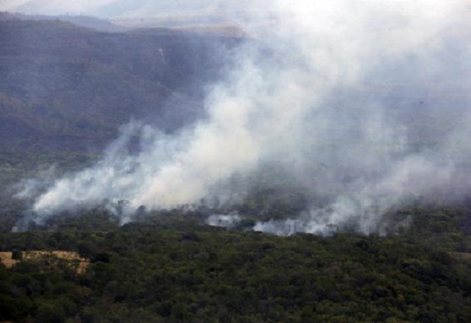 Parque diz que incêndio na Chapada dos Veadeiros está controlado