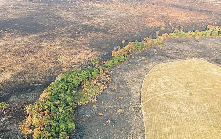 Fogo acaba e parque da Chapada pode abrir na próxima quarta