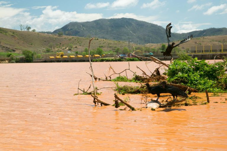 Rios atingidos por lama da Samarco estão impróprios, aponta ONG