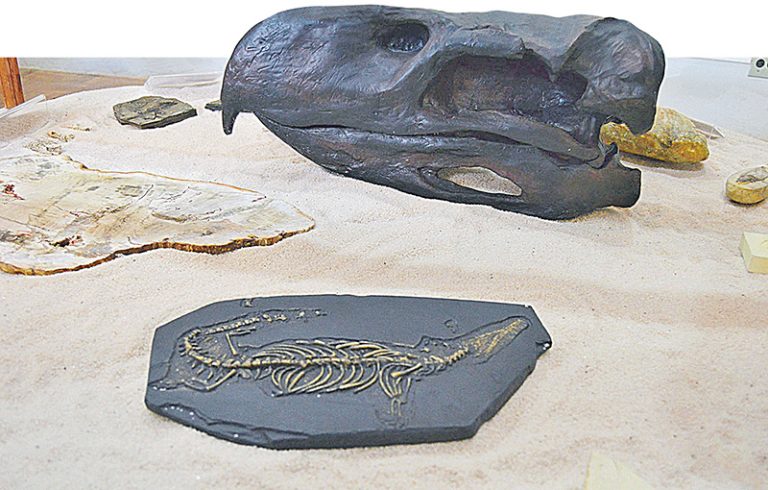 Dinossauros e meteoro em museu capixaba