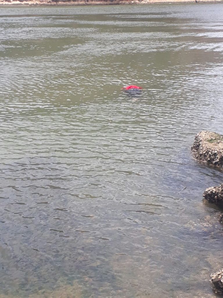 Cadeirante morre afogado na Baía de Vitória