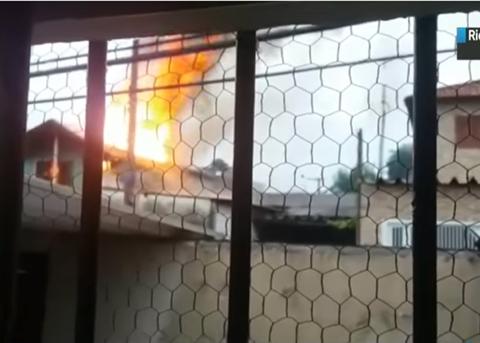 Cuidadora de animais morre ao salvar vários cães de incêndio