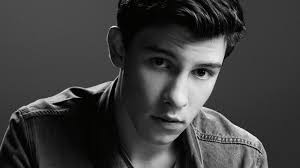 Shawn Mendes é o grande vencedor do MTV EMA