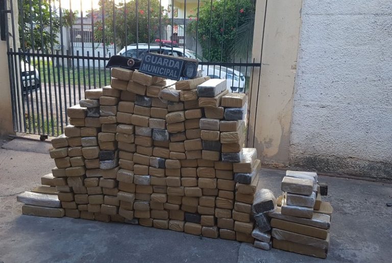 PMs e guardas municipais apreendem cerca de 200 kg de maconha em Vila Velha