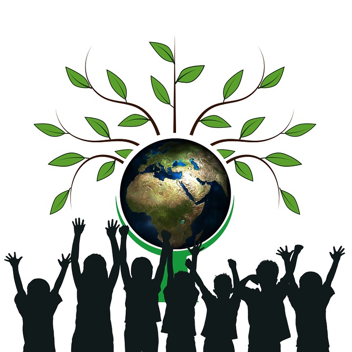 Educação ambiental na escola