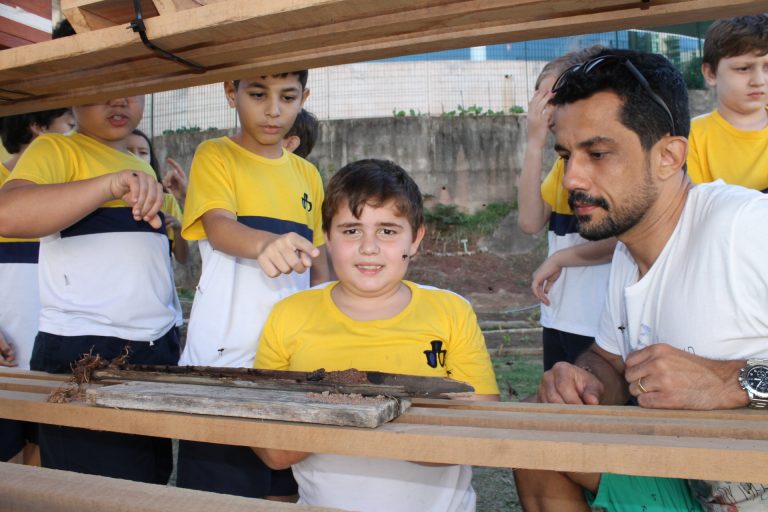 Sustentabilidade também se aprende, e se faz, na escola
