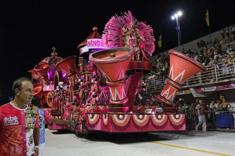 Confira as fotos do desfile da Novo Império