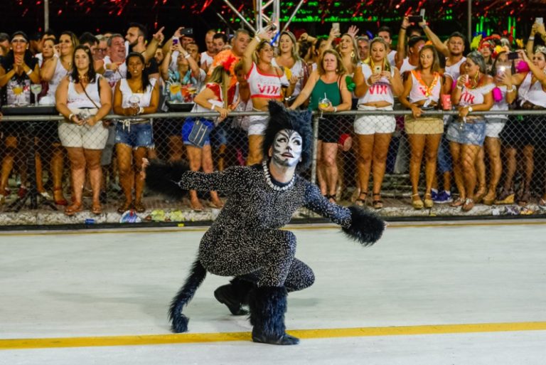 Confira imagens do desfile da Unidos da Piedade