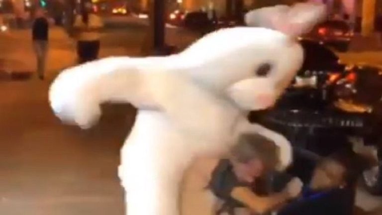 Coelho da Páscoa separa briga, bate em agressor e viraliza na web