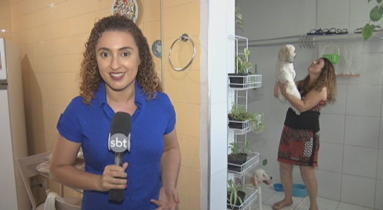 Amor aos animais ajuda a retirar cães abandonados das ruas