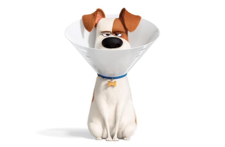 ‘Pets 2’ aborda medos dos animais de estimação e traz Dani Calabresa na dublagem