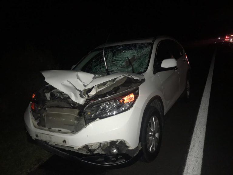 Pedestre é atropelado e morre na Rodovia do Sol