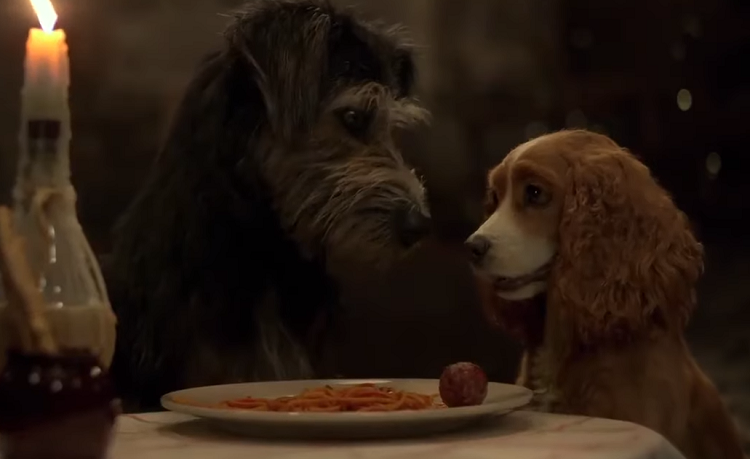Disney divulga o 1º trailer do filme em live-action de ‘A Dama e o Vagabundo’
