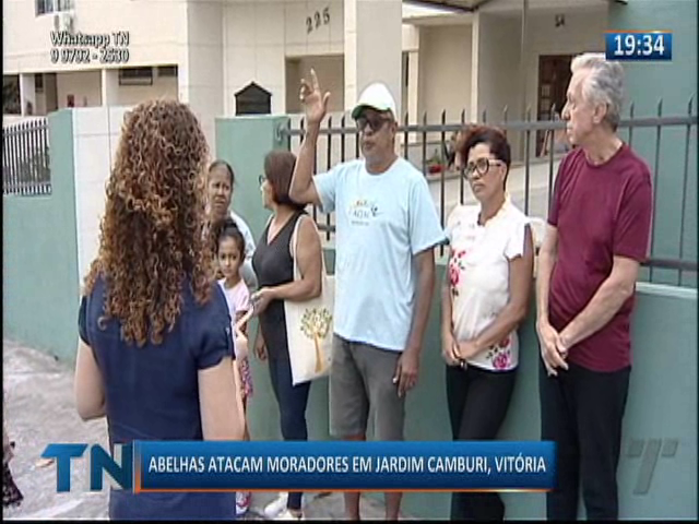 Abelhas atacam moradores em Jardim Camburi