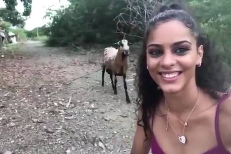 Jovem leva chifrada de bode ao tentar fazer selfie. Assista ao vídeo