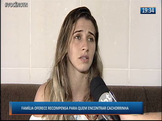 Família oferece recompensa para quem encontrar cachorrinha