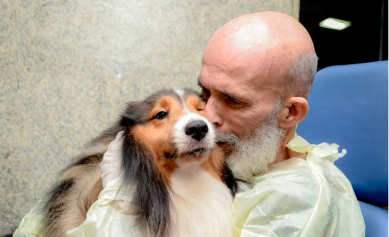 Paciente com câncer se emociona e tem melhora após reencontrar cachorro em hospital