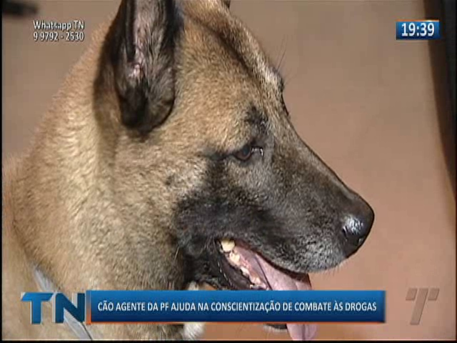 Cão agente da PF ajuda na conscientização de combate às drogas