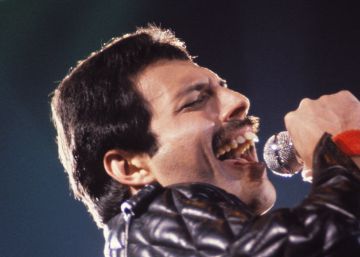 Novo documentário sobre Freddie Mercury explica herança para ex-namorada e gatos