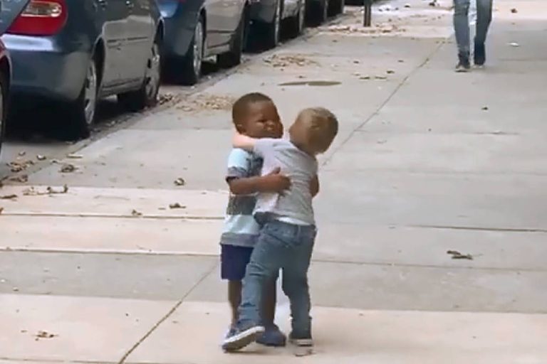 Meninos de apenas dois anos se abraçam em encontro emocionante e viram sucesso na web