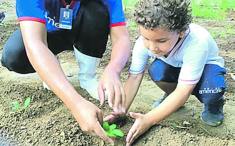 Educação digital em destaque