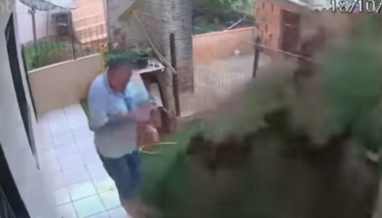 VÍDEO | Caminhoneiro usa mistura de gasolina e veneno para explodir ninho de baratas
