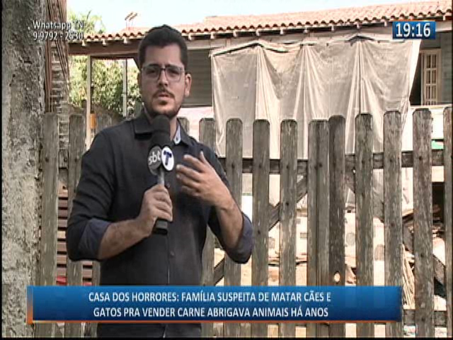 Família suspeita de matar cães e gatos para vender carne abrigava animais há anos