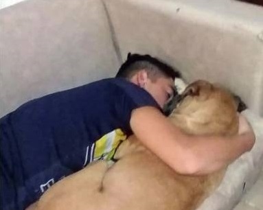 Cadela morre abraçada ao dono após infarto causado por fogos de artifício