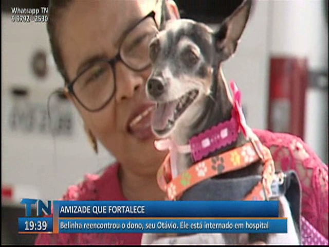 Cachorrinha de estimação traz força ao Seu Otávio depois de passar dias internado no Hospital