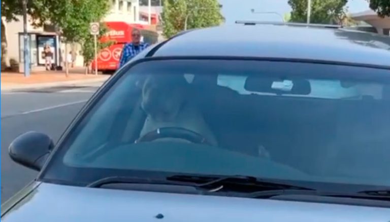 Cachorro é deixado dentro de carro e não para de buzinar; veja o vídeo