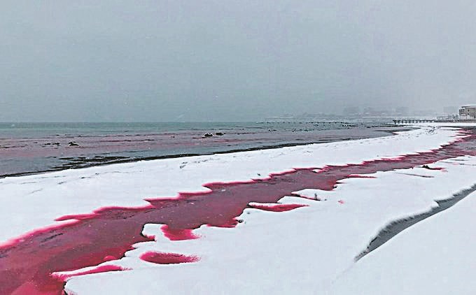 Mar se transforma em “sangue” na Ásia
