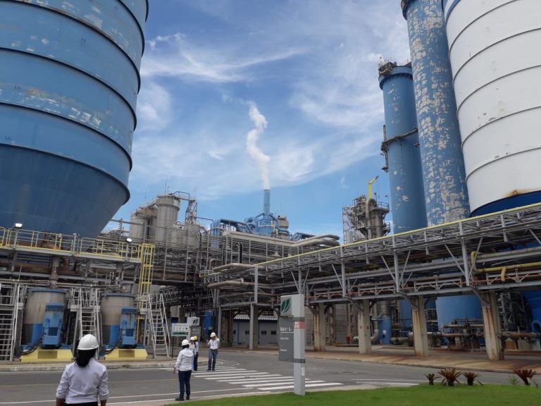 Empresas abrem 2.598 empregos a partir desta segunda-feira