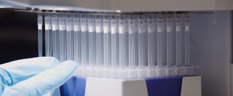 “Pandemia” mostra a luta da ciência contra as doenças virais