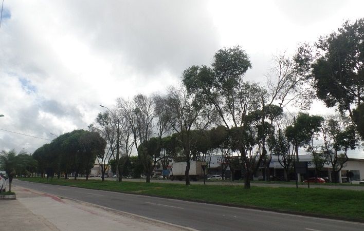 Previsão de chuva para cidades do Norte do Estado
