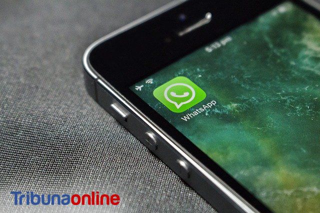 Receba notícias do Tribuna Online pelo Whatsapp