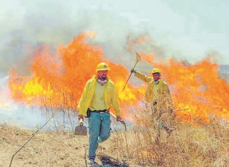 Ibama abre 271 vagas para combatentes da brigada de incêndios