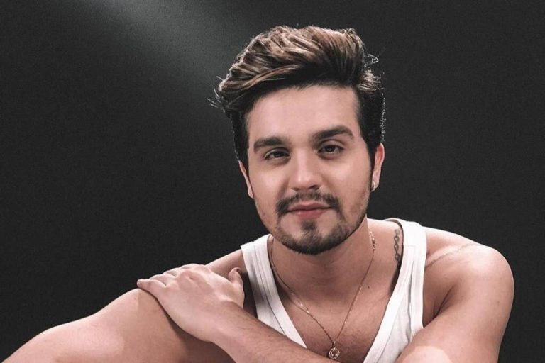 Luan Santana fará leilão pra ajudar na recuperação do Pantanal