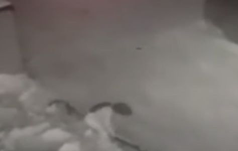 VÍDEO | Criança despenca de prédio e sobrevive ao cair na neve