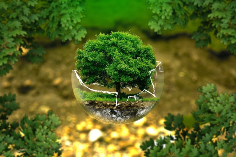 Biologia: 10 temas mais abordados no Enem nos últimos anos