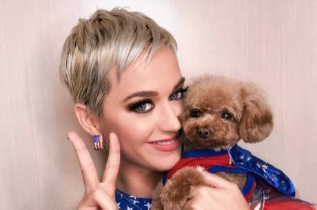 Katy Perry é criticada no Twitter por dar dieta vegana para cachorro