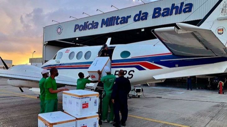 Morre jumento que se envolveu em acidente de avião com vacinas