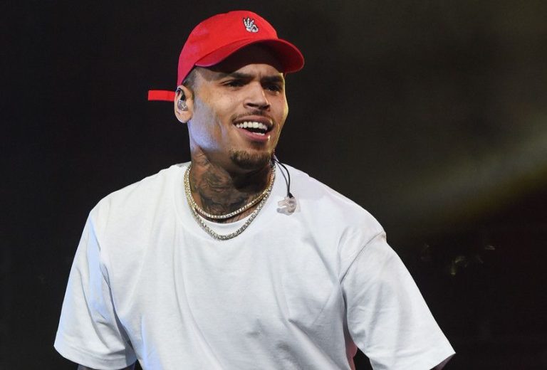 Chris Brown é processado após seu cachorro atacar a mulher