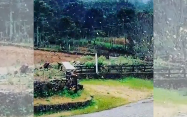 Frio intenso! Cidade registra -7,5 graus e neva em outros cinco municípios